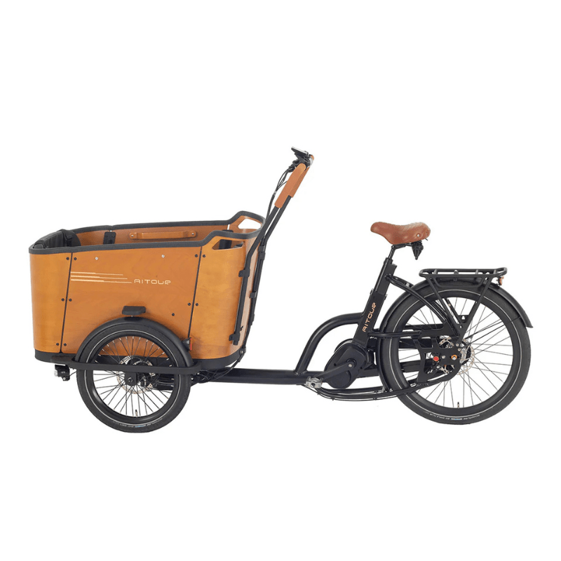 Aitour Cargo Bike - Family C - BikeVentures