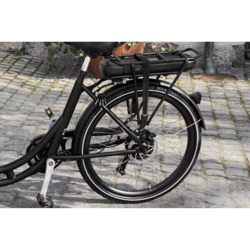 AMCARGOBIKES ULTIMATE CURVE CARGO ELECTRIC BIKE TRICYCLE – 250W, SEATS UP TO 4 CHILDREN - BikeVentures