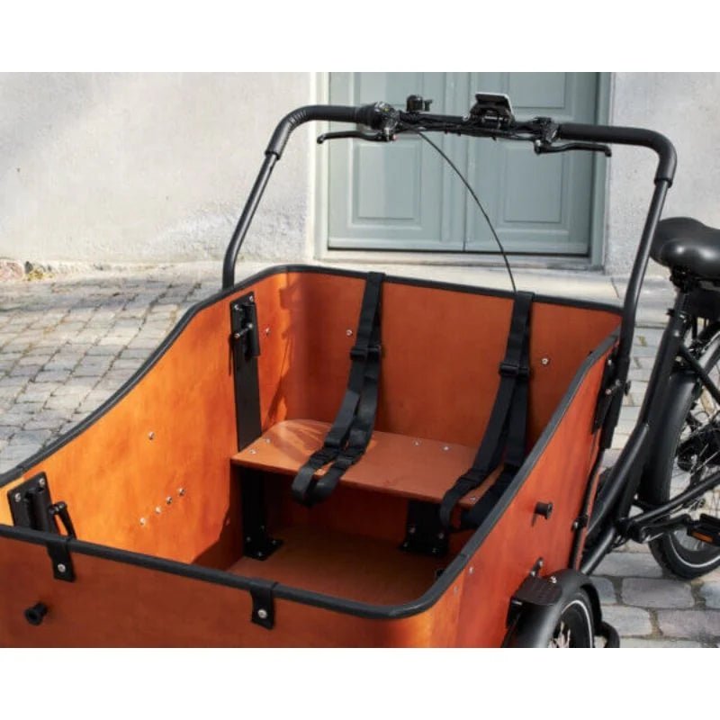 AMCargoBikes Ultimate Harmony Cargo Electric Bike Tricycle – 250W, Seats Up to 4 Children - BikeVentures