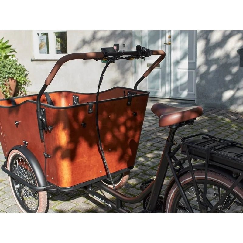 AMCargoBikes Ultimate Harmony Cargo Electric Bike Tricycle – 250W, Seats Up to 4 Children - BikeVentures