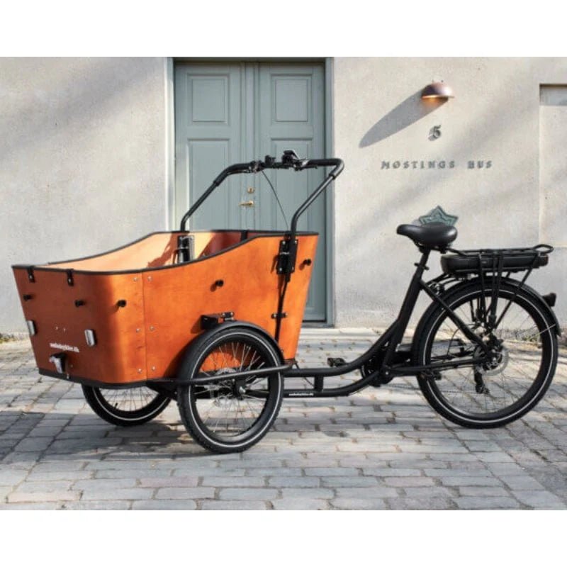 AMCargoBikes Ultimate Harmony Cargo Electric Bike Tricycle – 250W, Seats Up to 4 Children - BikeVentures