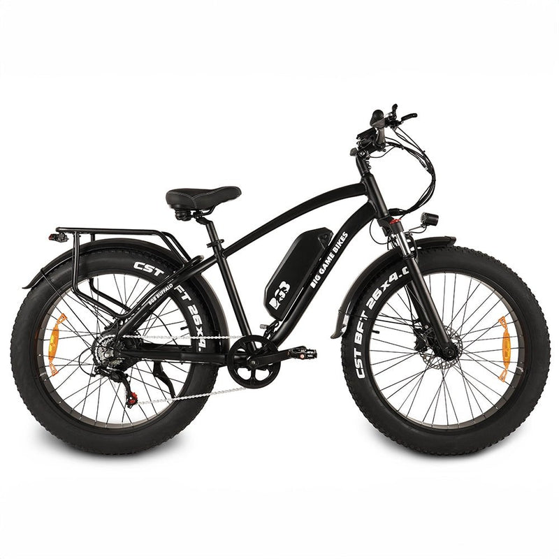 Buffalo 250w Mountain eBike - BikeVentures