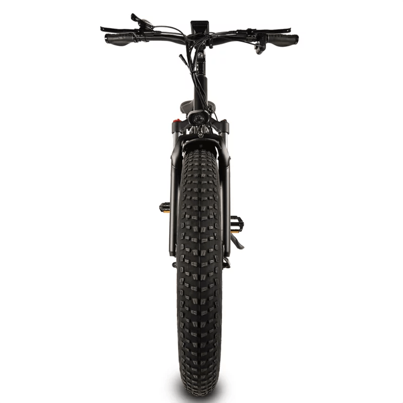 Buffalo 750w Mountain eBike - BikeVentures
