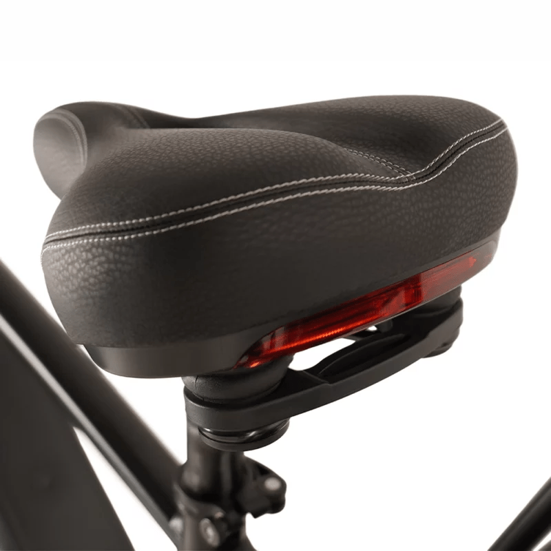 Buffalo 750w Mountain eBike - BikeVentures