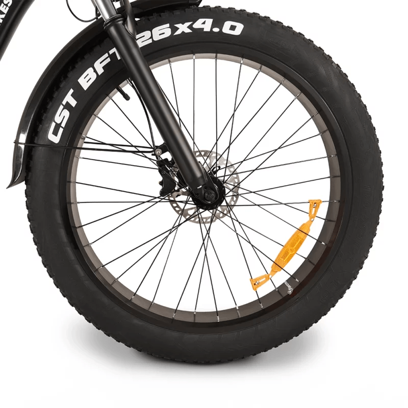 Buffalo 750w Mountain eBike - BikeVentures