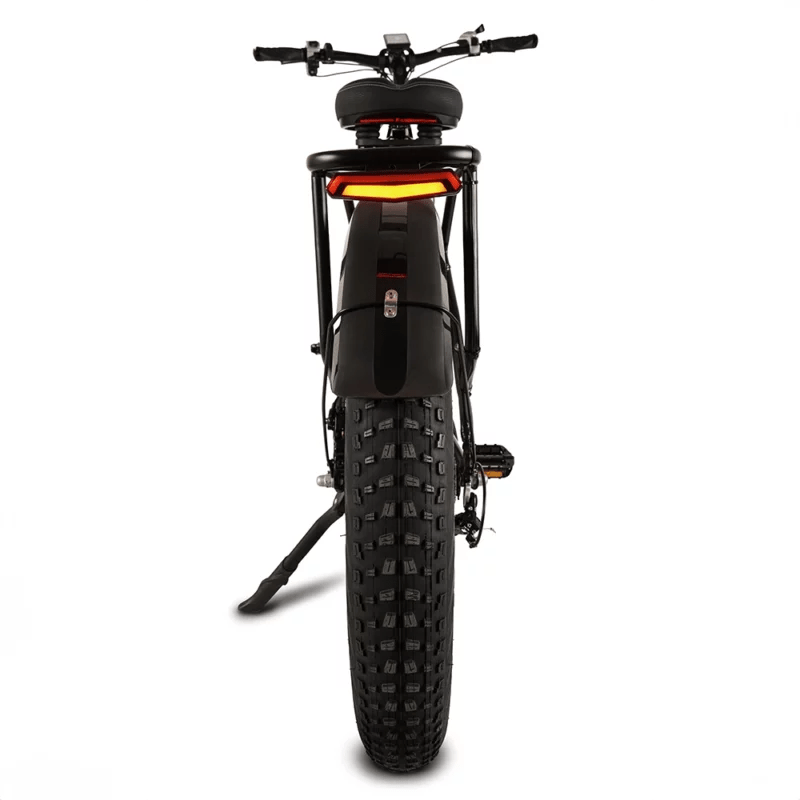 Buffalo 750w Mountain eBike - BikeVentures