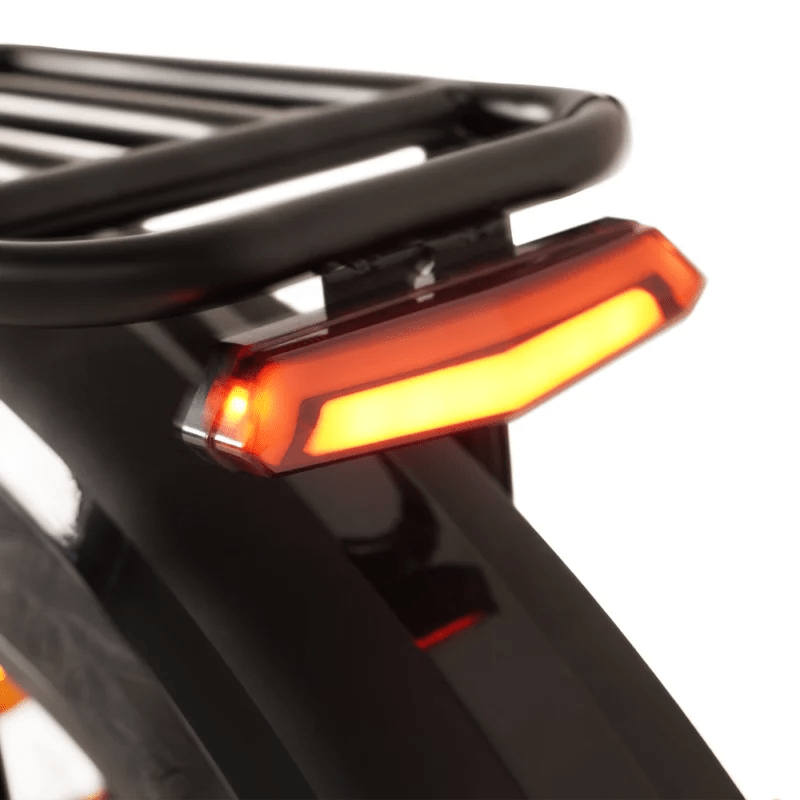 Buffalo 750w Mountain eBike - BikeVentures