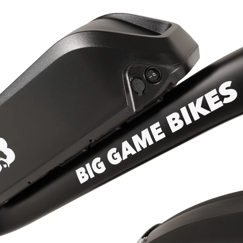 Buffalo 750w Mountain eBike - BikeVentures