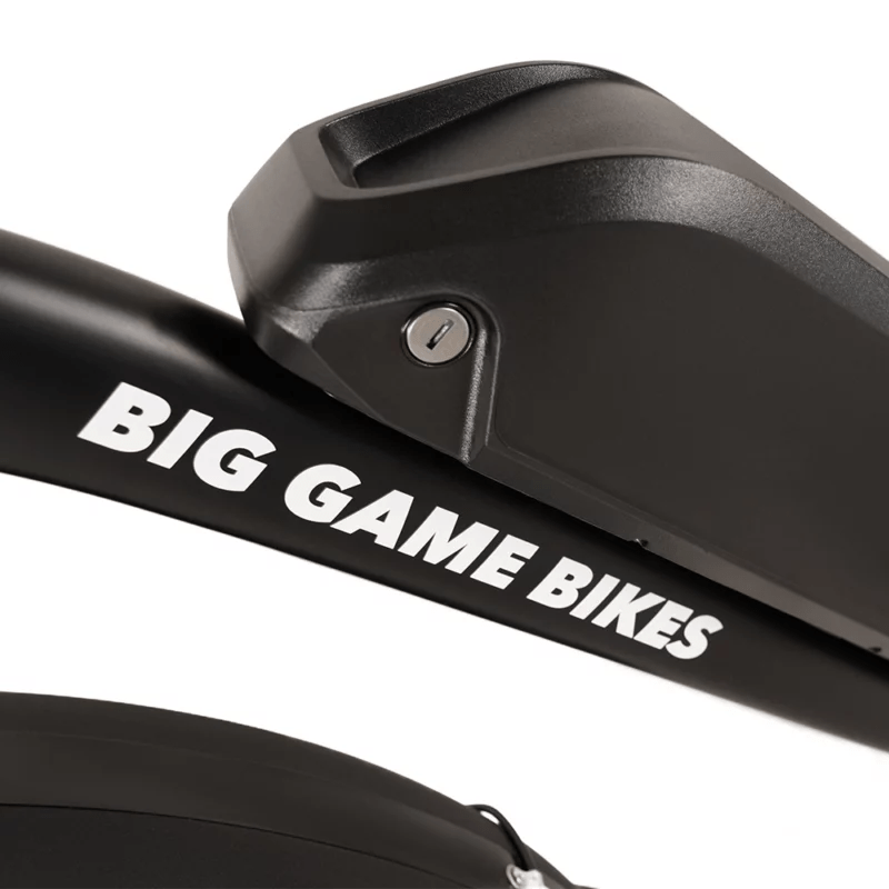 Buffalo 750w Mountain eBike - BikeVentures