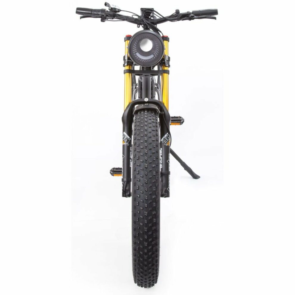 Buffalo Alpha Plus 250w Mountain eBike - BikeVentures