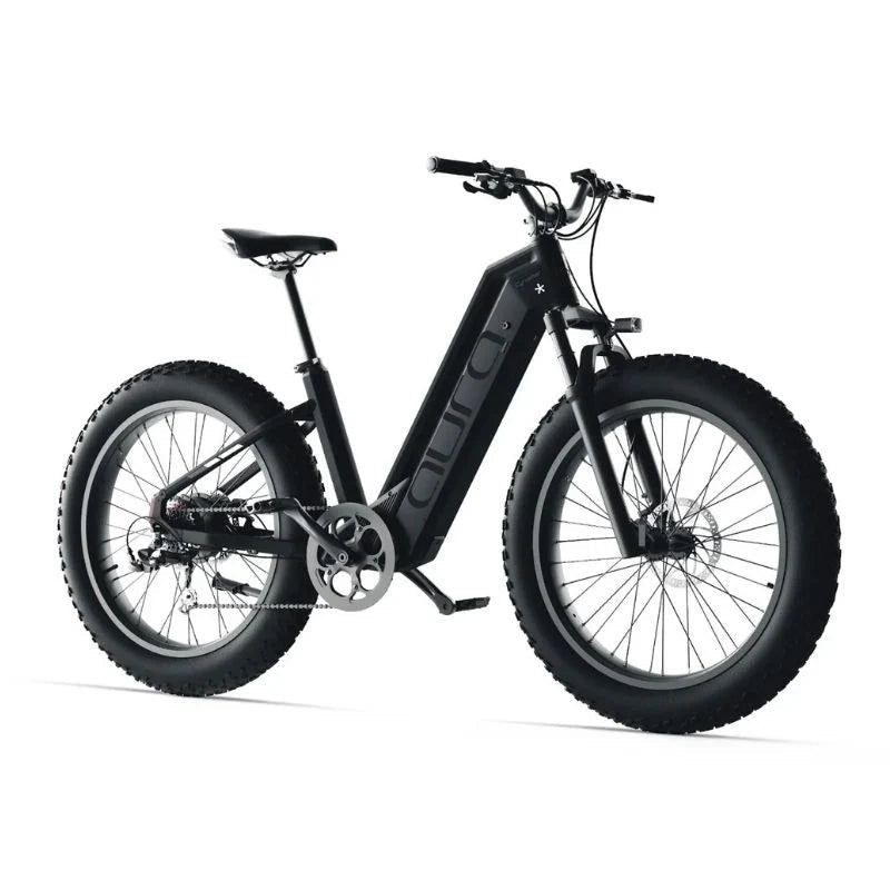 Cyrusher Aura Step - Through All - Terrain Fat - Tyre Electric Bike 250W (3 colours) - BikeVentures