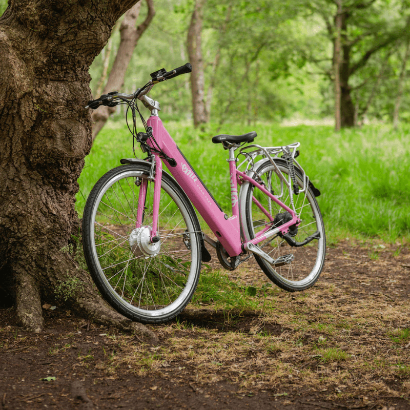 EMU Classic Step Through Electric Bike - BikeVentures