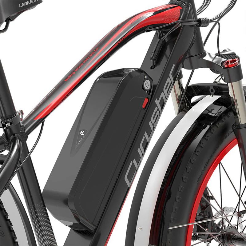 ENGWE 48V 16ah E - bike Battery for Rider/XF650 - BikeVentures