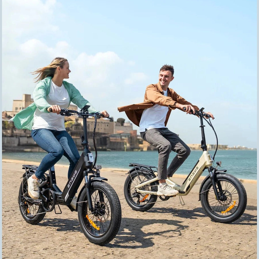 ENGWE L20 3.0 Boost folding electric bike, 250 watt motor power, top speed 25 km/h - BikeVentures