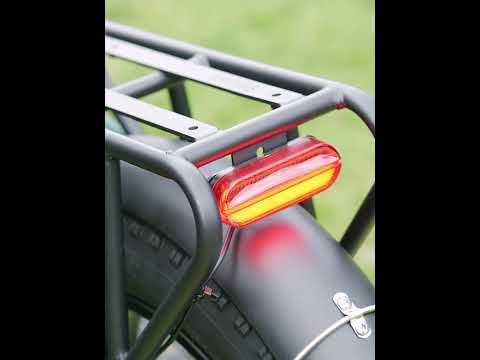 ENGWE L20 Boost - Step - Through - Fat Tyre - Electric - bike - 250 Watt - BikeVentures