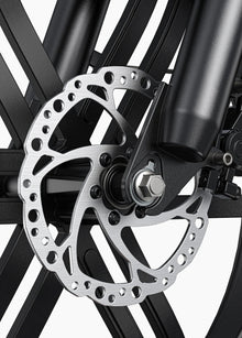 ENGWE L20 Boost - Step - Through - Fat Tyre - Electric - bike - 250 Watt - BikeVentures
