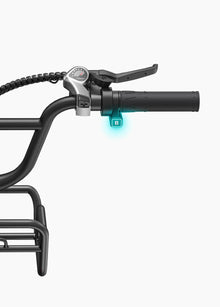 ENGWE L20 Boost - Step - Through - Fat Tyre - Electric - bike - 250 Watt - BikeVentures