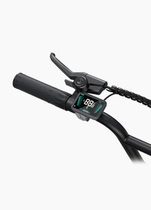 ENGWE L20 Boost - Step - Through - Fat Tyre - Electric - bike - 250 Watt - BikeVentures