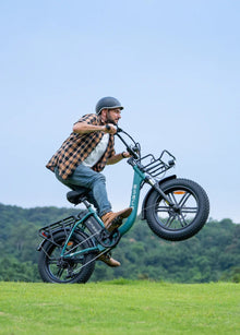 ENGWE L20 Boost - Step - Through - Fat Tyre - Electric - bike - 250 Watt - BikeVentures