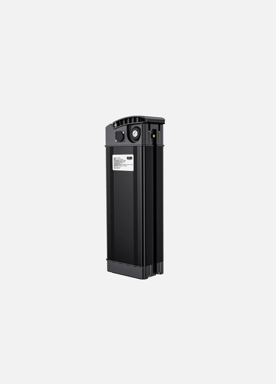 ENGWE Lithium - ion E - Bike Battery - BikeVentures