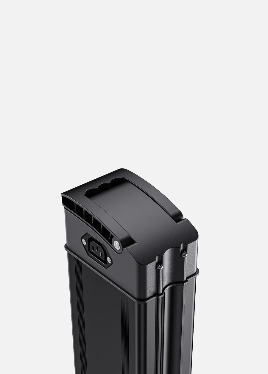 ENGWE Lithium - ion E - Bike Battery - BikeVentures