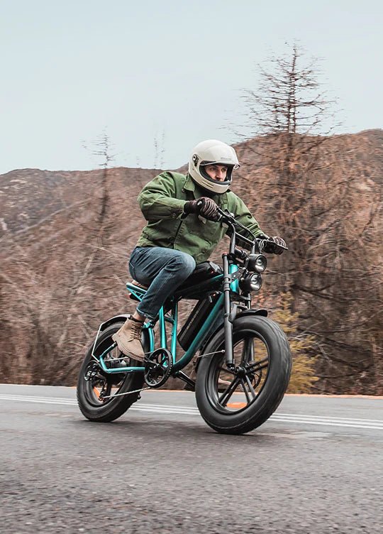 ENGWE M20 75KM+75KM Max Speed 25 km/h Dual Suspension Long Range E - bike - BikeVentures