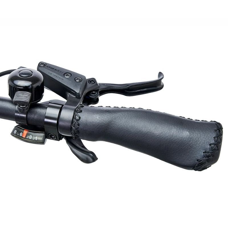 Hygge Lossø Step E - Bike - BikeVentures