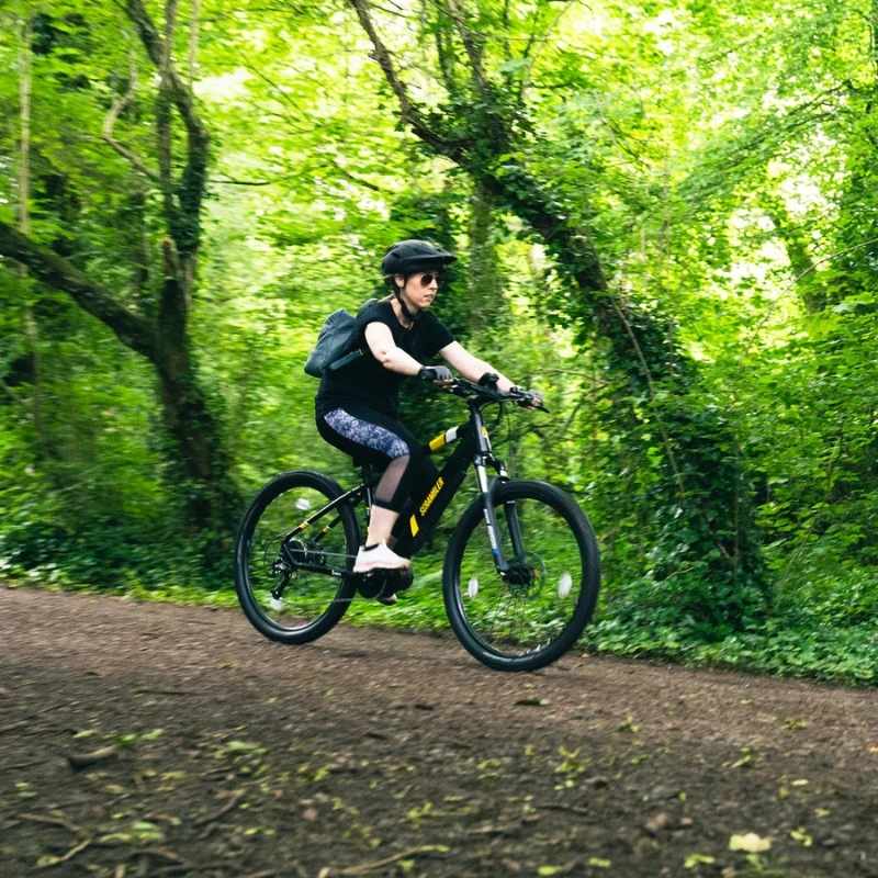 MARK2 SCRAMBLER LIGHTWEIGHT ELECTRIC MOUNTAIN BIKE - 250W, OFF - ROAD - BikeVentures
