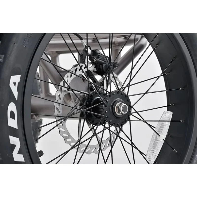 Revom T1 Urban Electric Tricycle 250W - BikeVentures