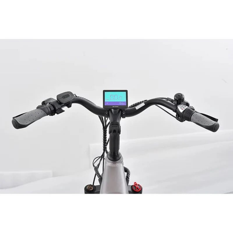 Revom T1 Urban Electric Tricycle 250W - BikeVentures