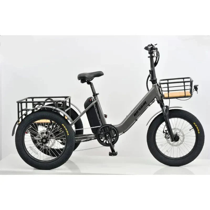 Revom T1F Folding Urban Electric Tricycle 250W - BikeVentures
