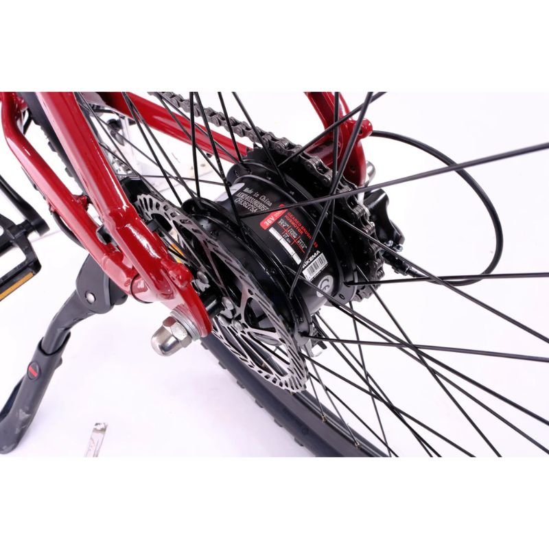 Roxform GRAVION Step - Over Electric Mountain Bike 250W - 24 - Speed Gears - BikeVentures