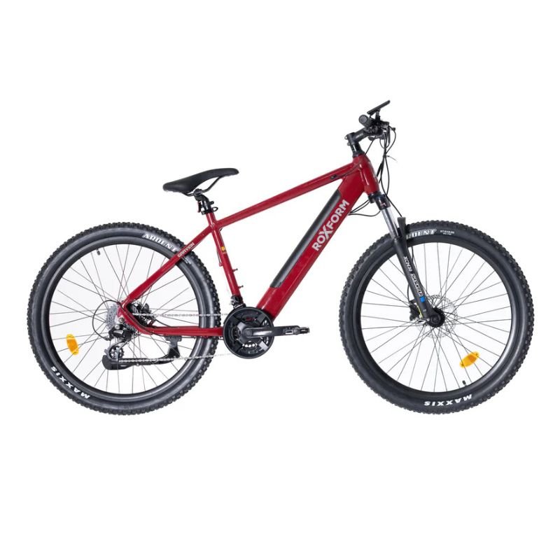 Roxform GRAVION Step - Over Electric Mountain Bike 250W - 24 - Speed Gears - BikeVentures