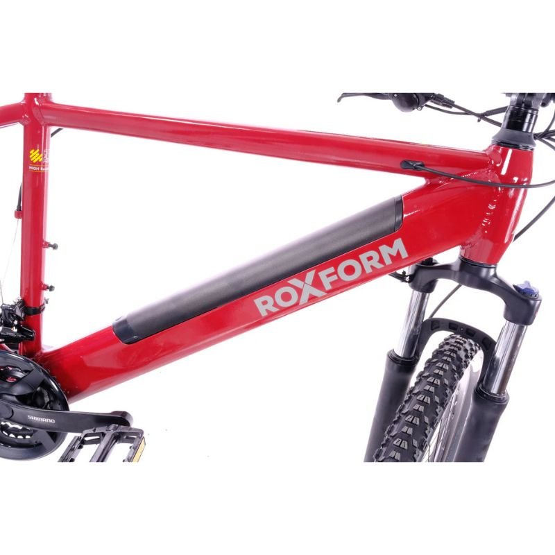 Roxform GRAVION Step - Over Electric Mountain Bike 250W - 24 - Speed Gears - BikeVentures