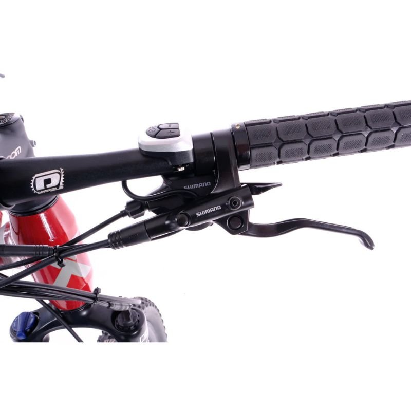 Roxform GRAVION Step - Over Electric Mountain Bike 250W - 24 - Speed Gears - BikeVentures
