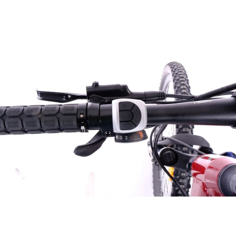 Roxform GRAVION Step - Over Electric Mountain Bike 250W - 24 - Speed Gears - BikeVentures