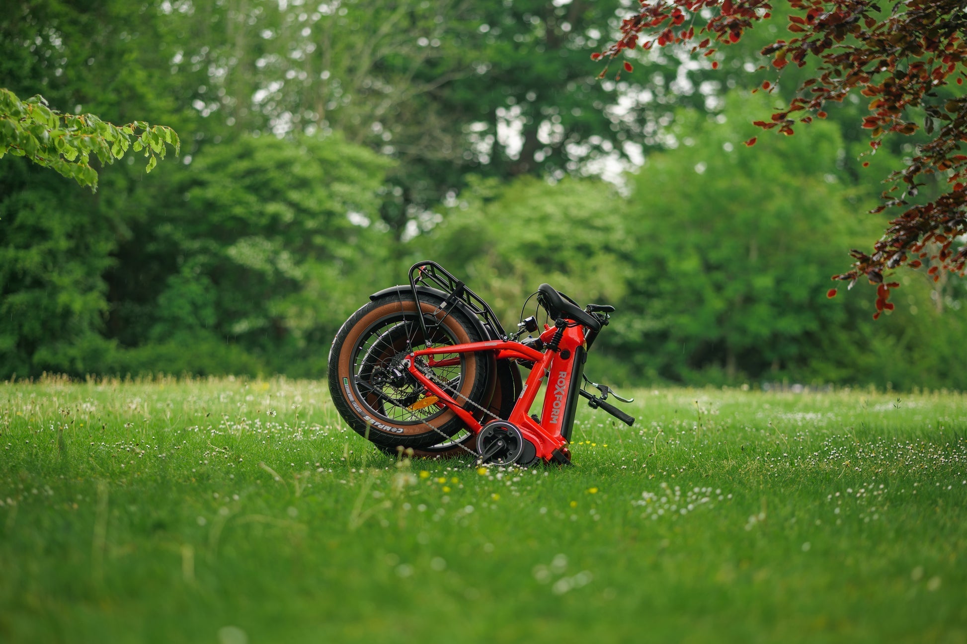 Roxform IGNIS Step - Through Folding City Electric Bike 250W - BikeVentures