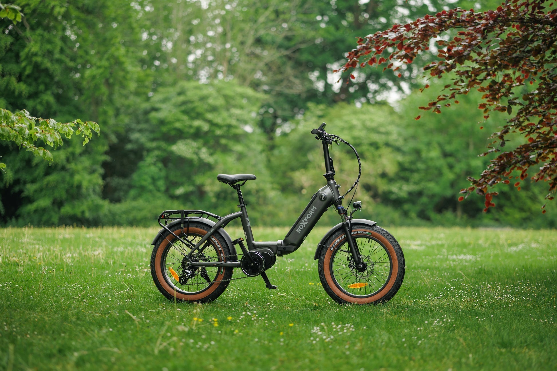 Roxform IGNIS Step - Through Folding City Electric Bike 250W - BikeVentures