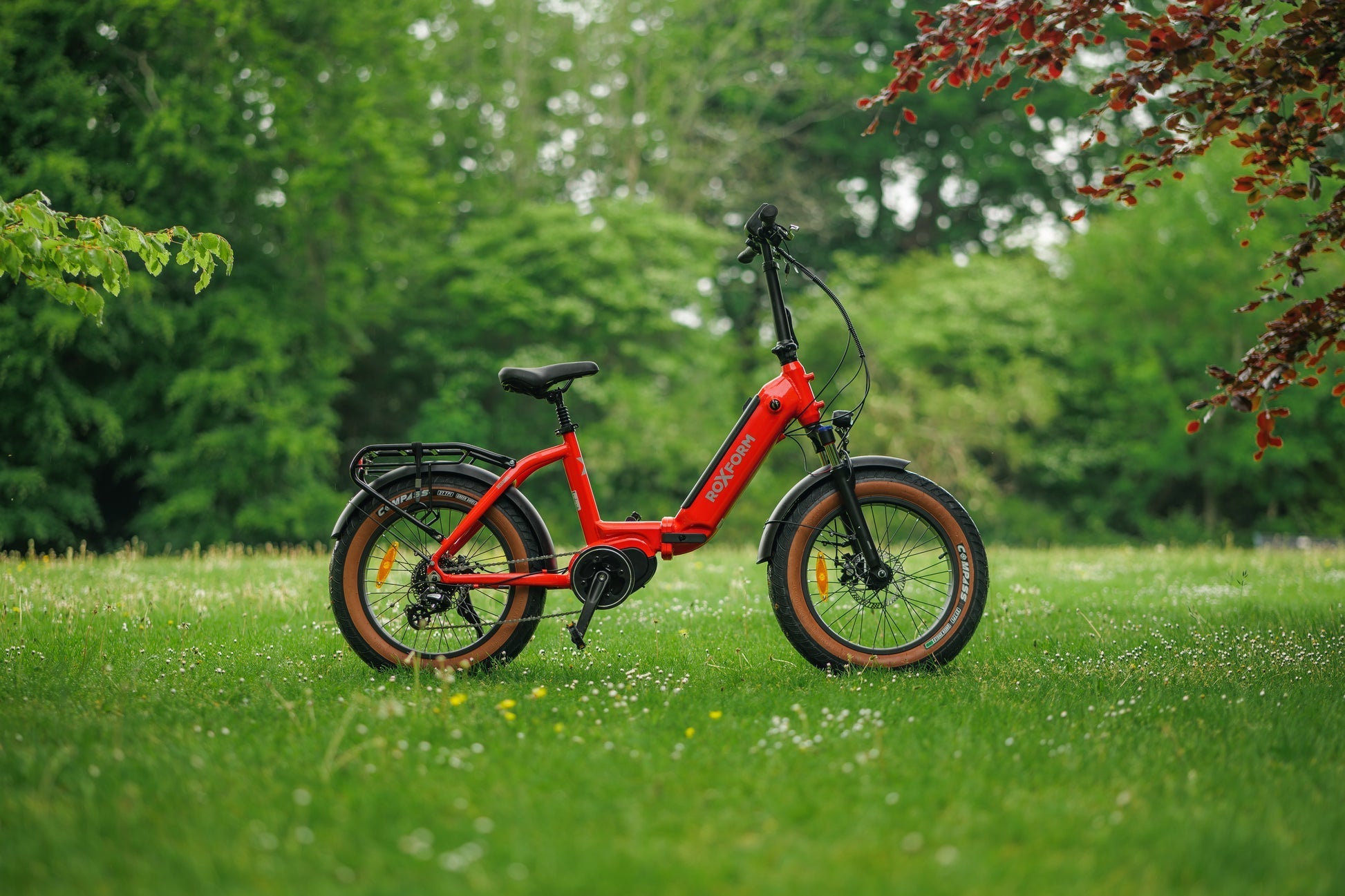 Roxform IGNIS Step - Through Folding City Electric Bike 250W - BikeVentures