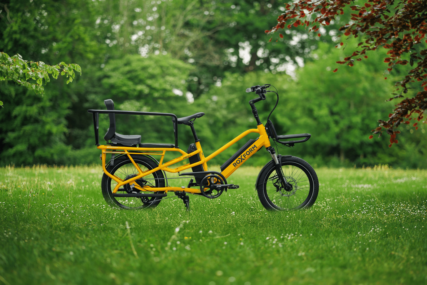 Roxform PORTO L Long Range Cargo Electric Bike 250W - Up To 100km - BikeVentures