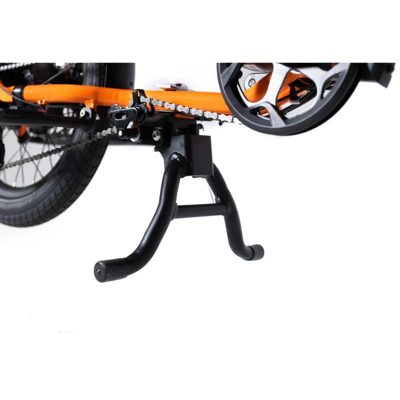 Roxform PORTO S. Cargo Electric Bike 250W - Range upto 50 Miles - BikeVentures