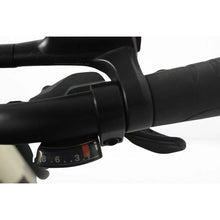 Roxform Stride S Step - Through City Commuter Electric Bike 250W - BikeVentures