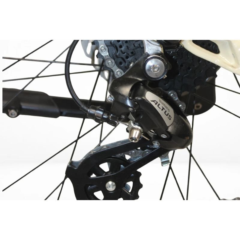 Roxform Stride S Step - Through City Commuter Electric Bike 250W - BikeVentures