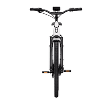 TENWAYS AGO T Electric Bike 80Nm Mid-Drive Gates Belt - BikeVentures