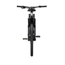 Tenways AGO X Electric Bike 80Nm Mid-Drive 10-Speed - BikeVentures