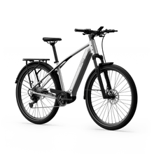 Tenways AGO X Electric Bike 80Nm Mid-Drive 10-Speed - BikeVentures