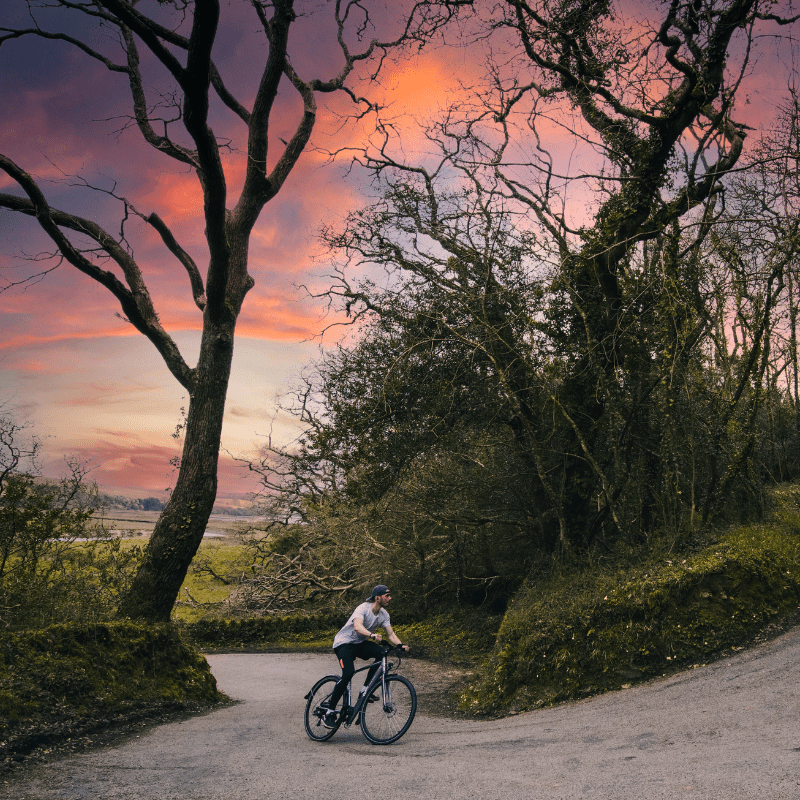 The Evo Crossbar Electric Bike - BikeVentures
