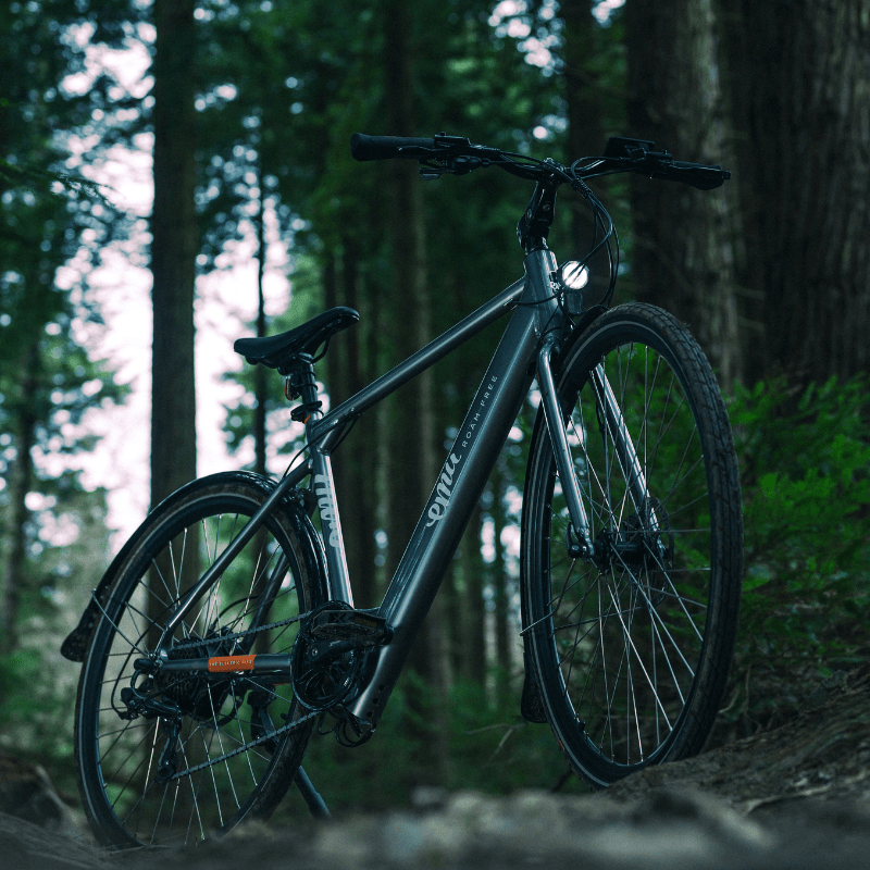 The Evo Crossbar Electric Bike - BikeVentures