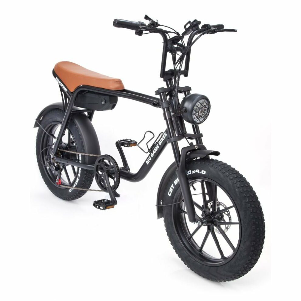 Warthog 750w Cruiser eBike - BikeVentures