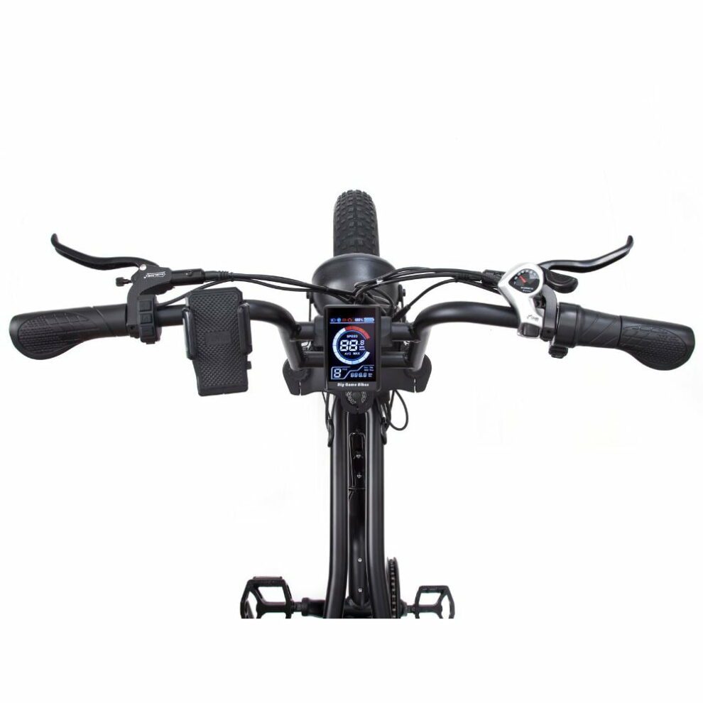 Warthog 750w Cruiser eBike - BikeVentures